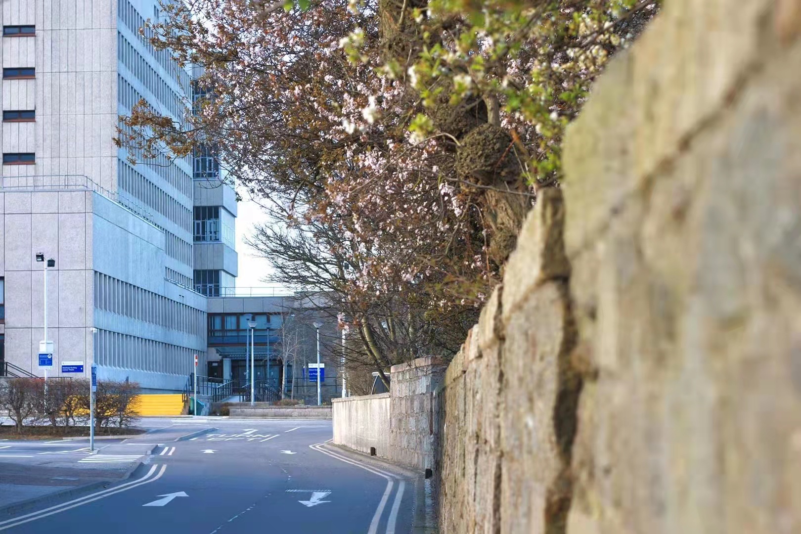 英国各地区留学费用汇总