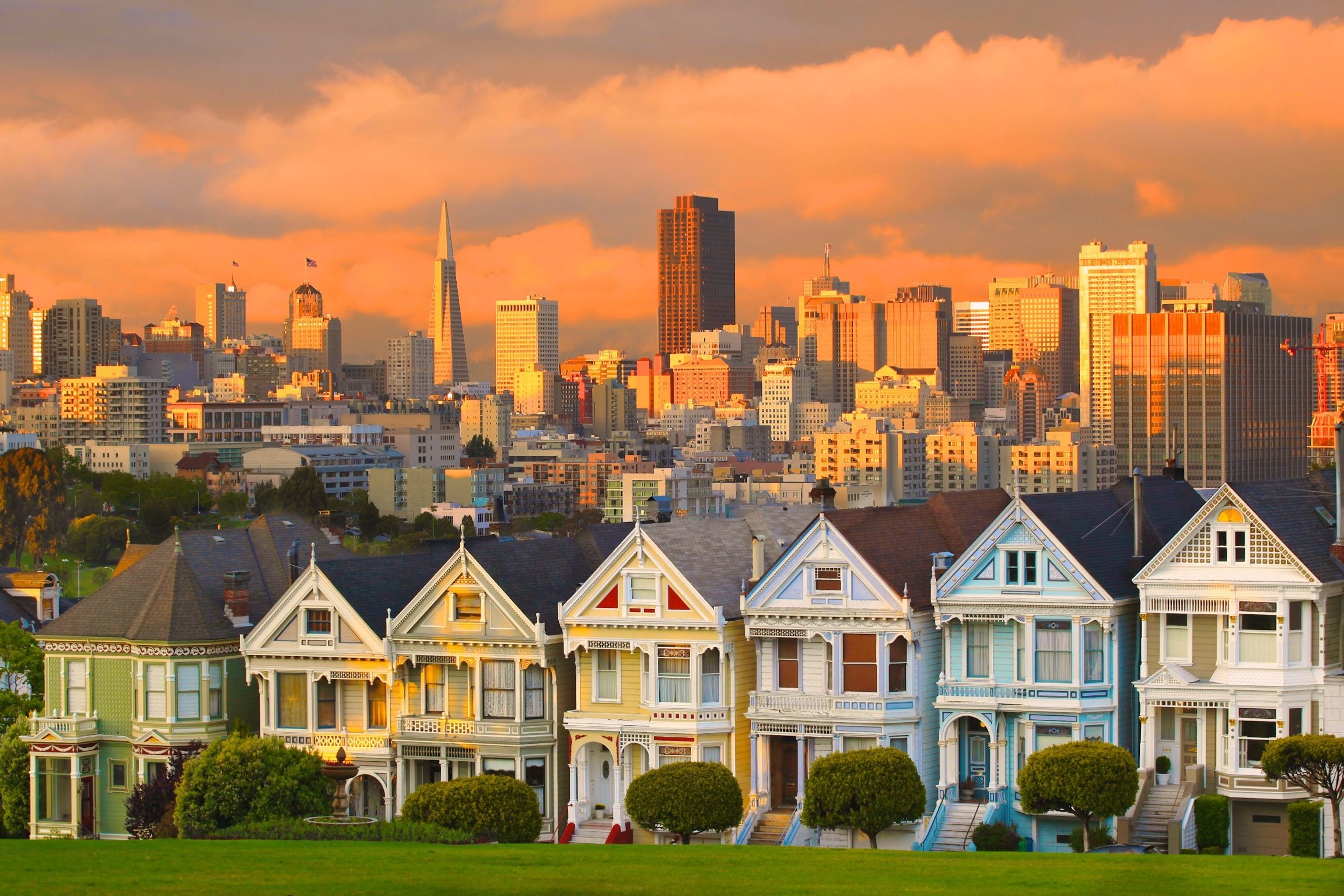 高考后美国本科留学指南：有哪些申请途径？