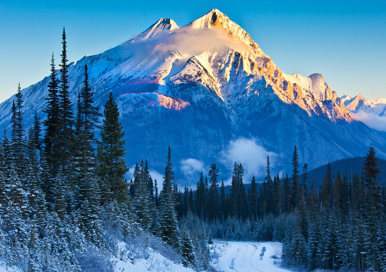 加拿大发布指引 小心第四波疫情秋季卷土重来