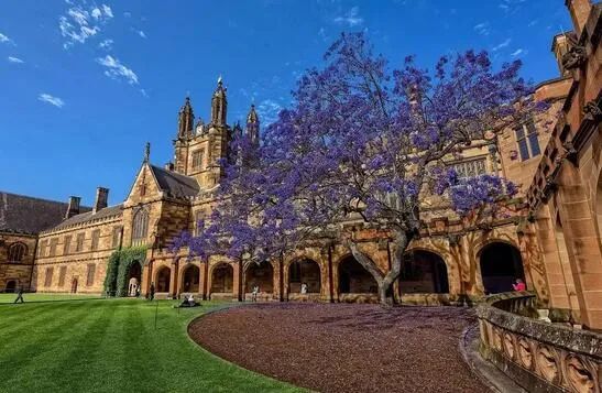 澳洲留学|悉尼VS墨尔本，你PICK哪一个？Local居然这样说！